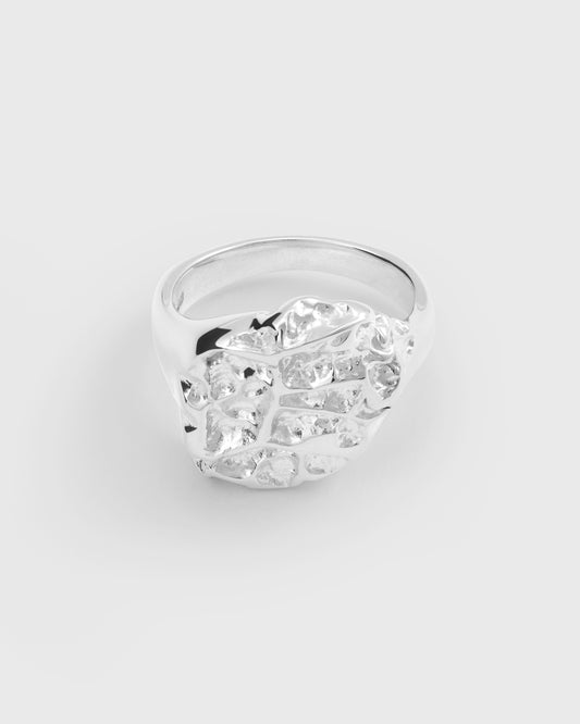 Cavolo Signet Ring