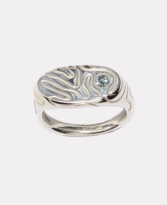 Oval Globe Signet (Teal)